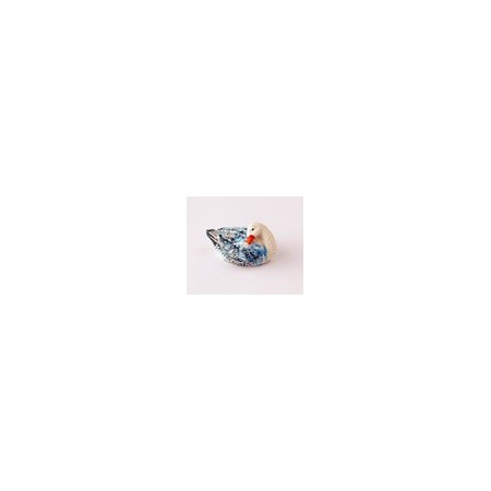 Cigno