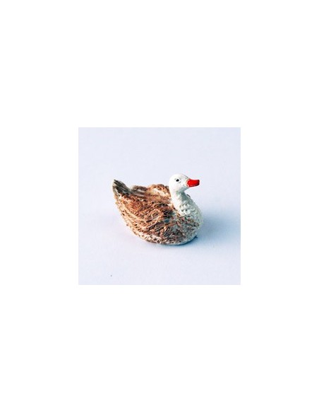 Cigno