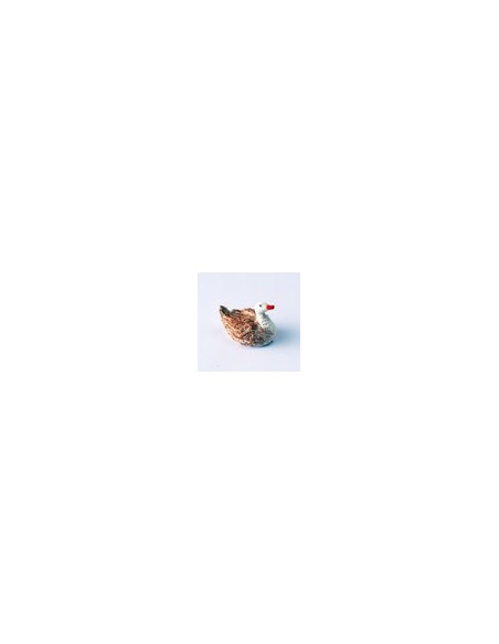 Cigno