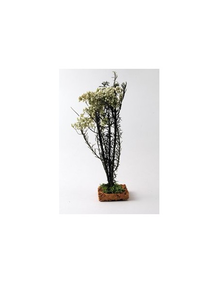 Cespuglio fiorito - fiori bianchi - cm 16