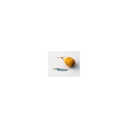 Melone giallo grande (cm 4,5) + coltello