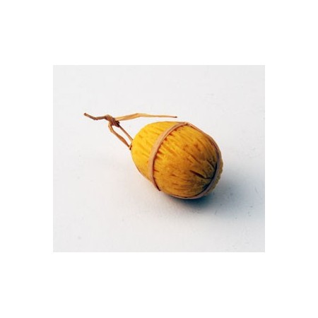 Melone giallo grande (cm 4,5)