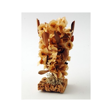 Cespuglio con foglie - cm 11