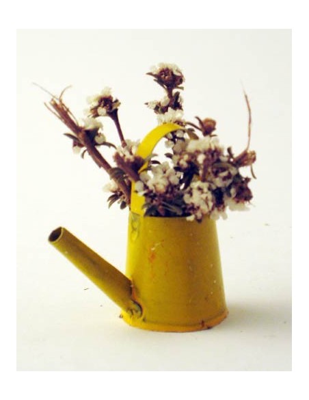 Annaffiatoio con fiori