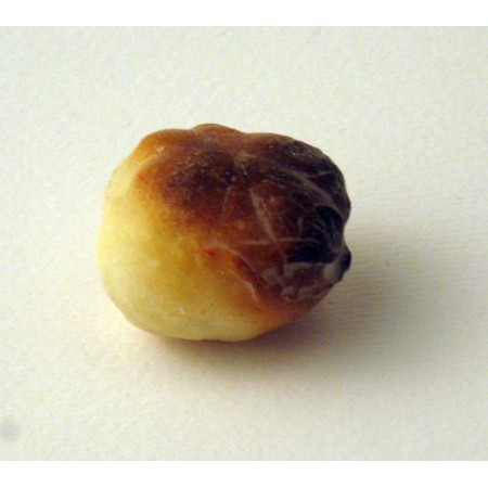 Pagnotta in cera