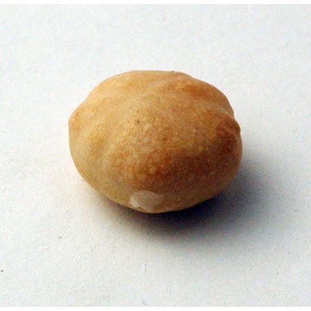 Pagnotta in cera
