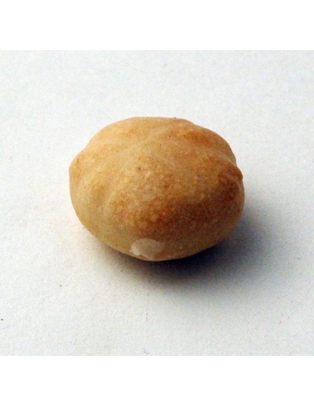 Pagnotta in cera