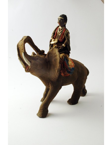 Re Magi su animali